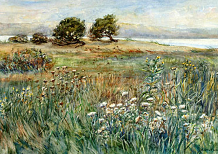 Art Gallery of Greater Victoria
